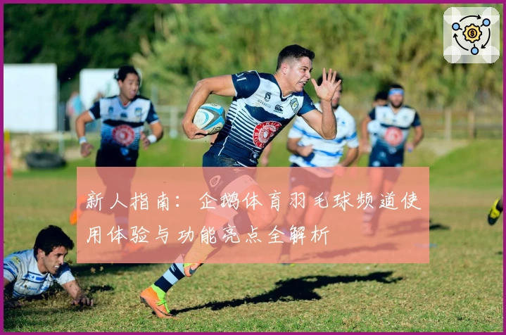 新人指南：企鹅体育羽毛球频道使用体验与功能亮点全解析