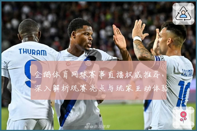 企鹅体育网球赛事直播权威推荐，深入解析观赛亮点与玩家互动体验