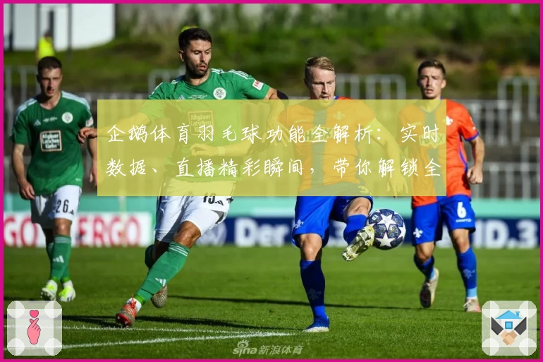 企鹅体育羽毛球功能全解析：实时数据、直播精彩瞬间，带你解锁全新观赛体验