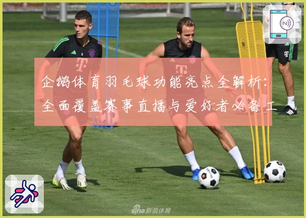 企鹅体育羽毛球功能亮点全解析：全面覆盖赛事直播与爱好者必备工具