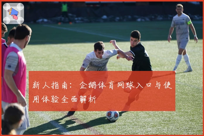 新人指南：企鹅体育网球入口与使用体验全面解析