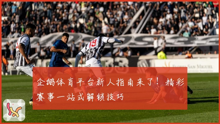 企鹅体育平台新人指南来了！精彩赛事一站式解锁技巧
