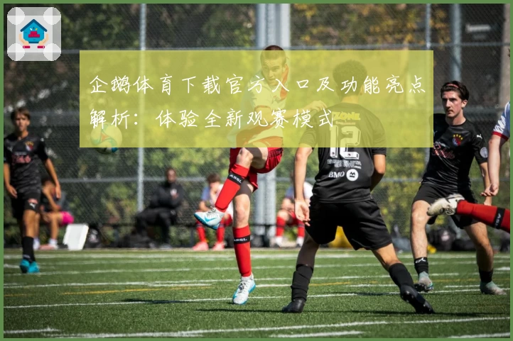 企鹅体育下载官方入口及功能亮点解析：体验全新观赛模式