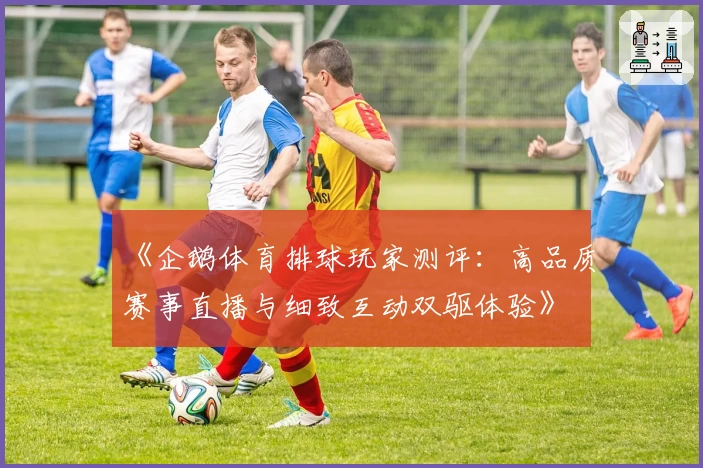 《企鹅体育排球玩家测评：高品质赛事直播与细致互动双驱体验》
