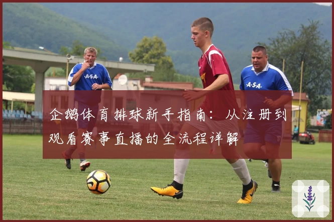 企鹅体育排球新手指南:从注册到观看赛事直播的全流程详解