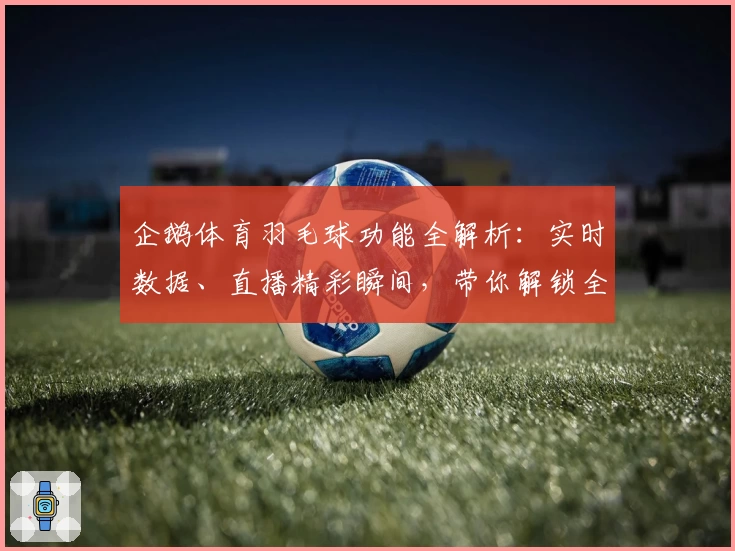 企鹅体育羽毛球功能全解析：实时数据、直播精彩瞬间，带你解锁全新观赛体验